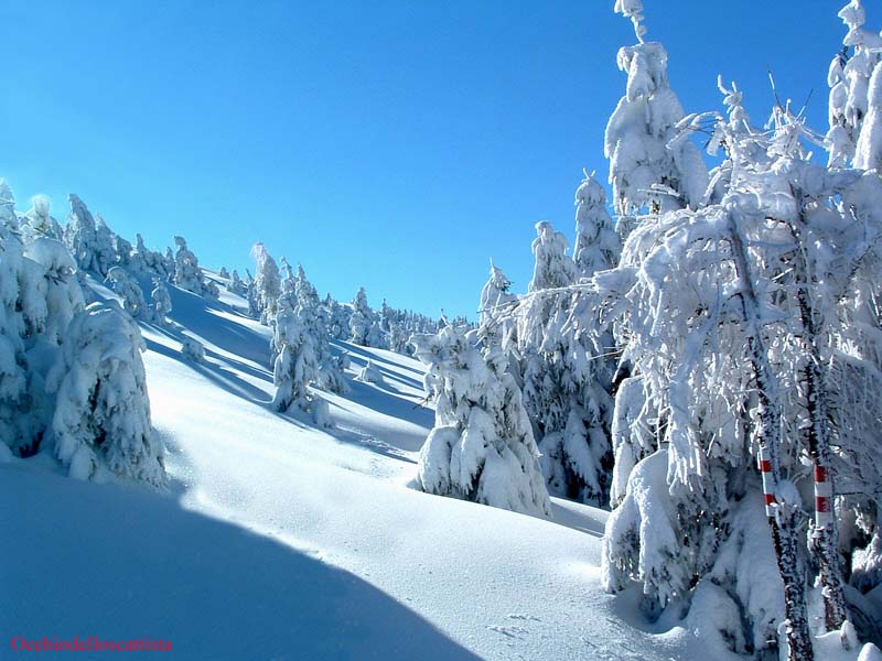  Image name: 14-corno alle scale.jpg 
 width: 800 pixel 
 height: 600 pixel 
 Size: 82617 bytes 
 Click to enlarge 